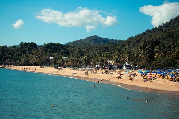 Animaux et locations côtières : Tout ce que vous devez savoir pour des vacances réussies !